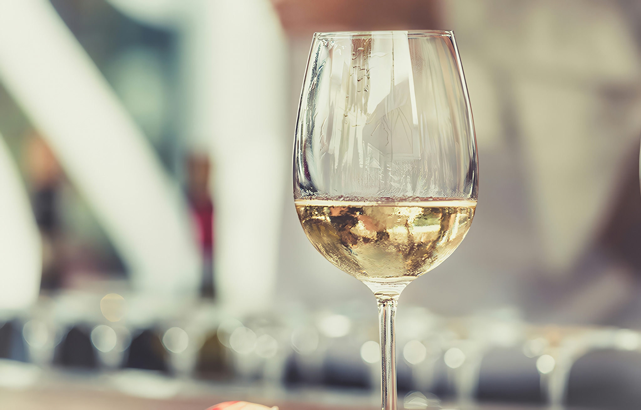 WINE TOURS